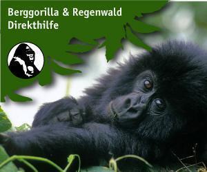 Berggorilla & Regenwald Direkthilfe